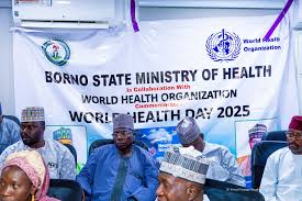 Workshop for MDAs Officials in Borno State on Transformative